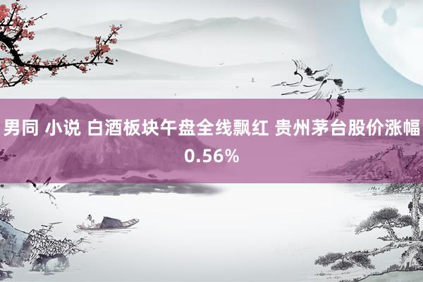 男同 小说 白酒板块午盘全线飘红 贵州茅台股价涨幅0.56%