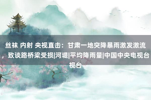 丝袜 内射 央视直击：甘肃一地突降暴雨激发激流，致谈路桥梁受损|河堤|平均降雨量|中国中央电视台