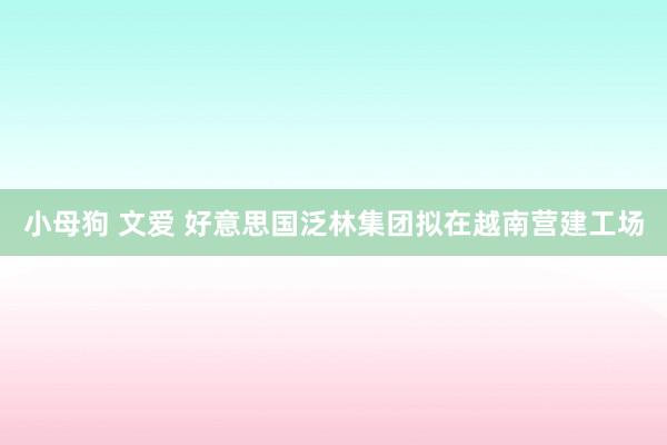 小母狗 文爱 好意思国泛林集团拟在越南营建工场