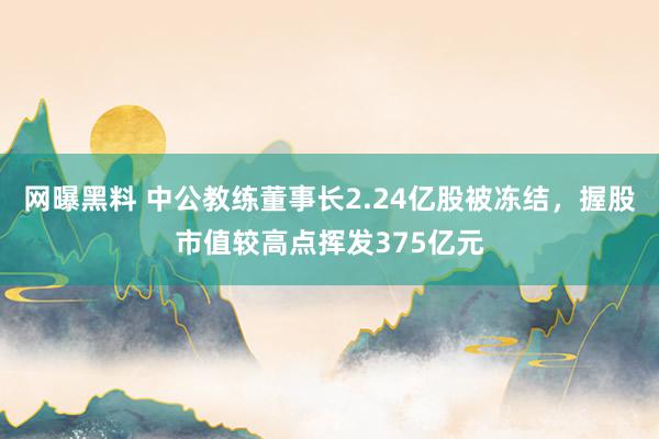 网曝黑料 中公教练董事长2.24亿股被冻结，握股市值较高点挥发375亿元
