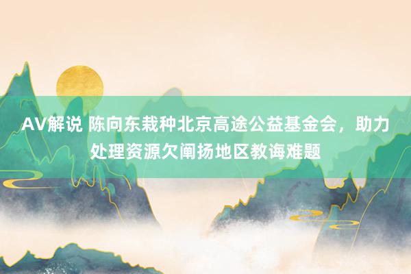 AV解说 陈向东栽种北京高途公益基金会，助力处理资源欠阐扬地区教诲难题
