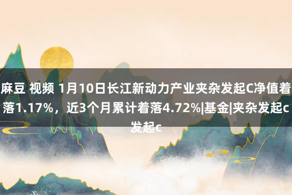 麻豆 视频 1月10日长江新动力产业夹杂发起C净值着落1.17%，近3个月累计着落4.72%|基金|夹杂发起c