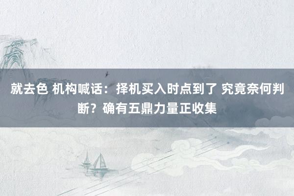 就去色 机构喊话：择机买入时点到了 究竟奈何判断？确有五鼎力量正收集