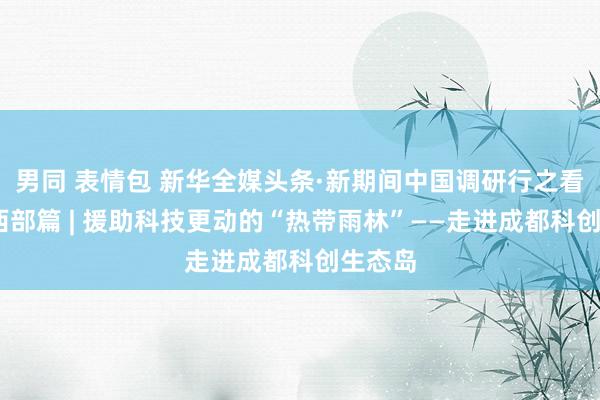男同 表情包 新华全媒头条·新期间中国调研行之看区域·西部篇 | 援助科技更动的“热带雨林”——走进成都科创生态岛