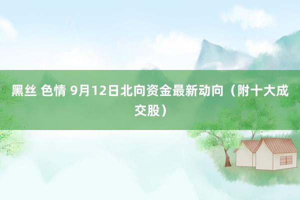 黑丝 色情 9月12日北向资金最新动向（附十大成交股）
