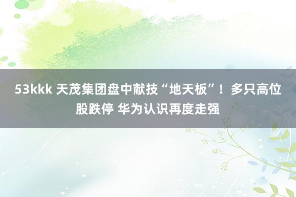 53kkk 天茂集团盘中献技“地天板”！多只高位股跌停 华为认识再度走强