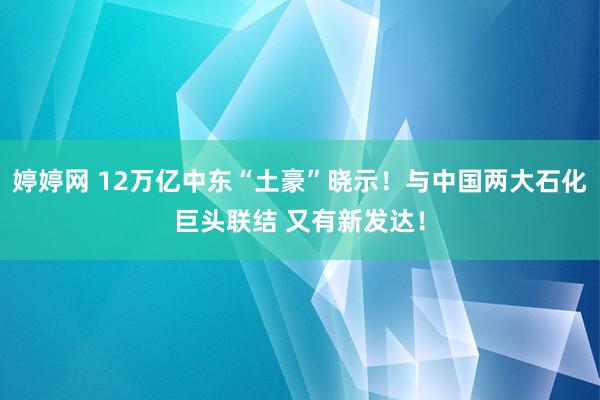 婷婷网 12万亿中东“土豪”晓示！与中国两大石化巨头联结 又有新发达！