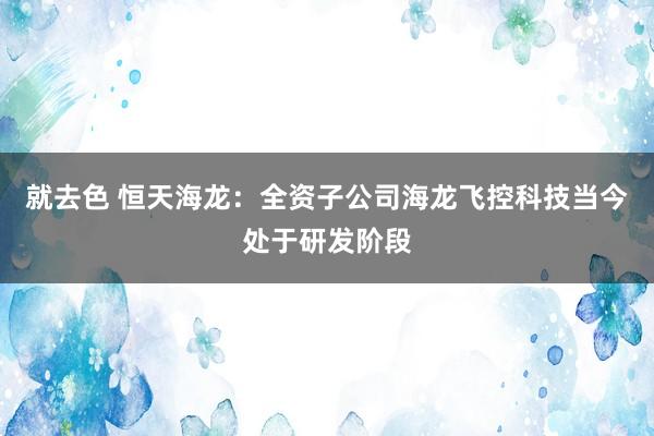 就去色 恒天海龙：全资子公司海龙飞控科技当今处于研发阶段