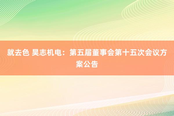 就去色 昊志机电：第五届董事会第十五次会议方案公告
