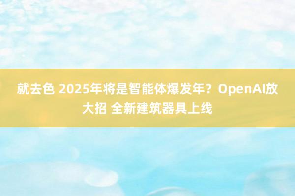 就去色 2025年将是智能体爆发年？OpenAI放大招 全新建筑器具上线