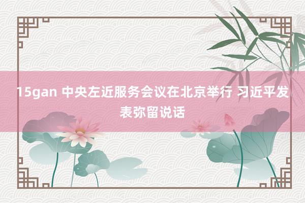 15gan 中央左近服务会议在北京举行 习近平发表弥留说话