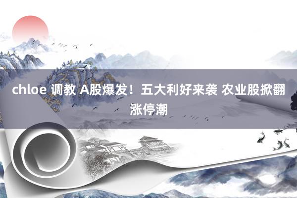 chloe 调教 A股爆发！五大利好来袭 农业股掀翻涨停潮