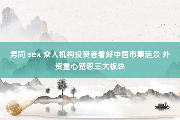 男同 sex 众人机构投资者看好中国市集远景 外资重心宽恕三大板块