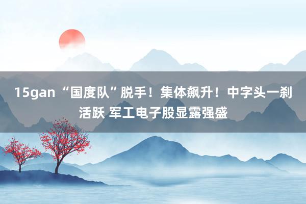 15gan “国度队”脱手！集体飙升！中字头一刹活跃 军工电子股显露强盛
