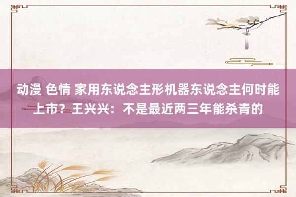 动漫 色情 家用东说念主形机器东说念主何时能上市？王兴兴：不是最近两三年能杀青的